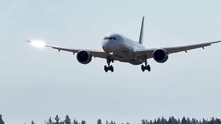 United Airlines Boeing 787-9 Dreamliner Landing! N61111 Returns to Paine Field KPAE ✈️