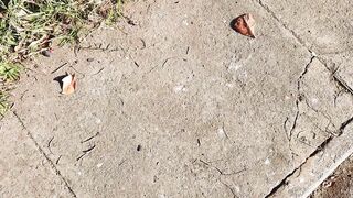 Caminhando em Goiânia até o Lindo Ipê Amarelo