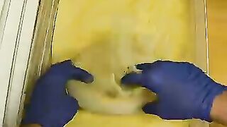How a Real Pizzeria Makes a Cheese Pizza _ Satisfying POV #pizza #food.mp4