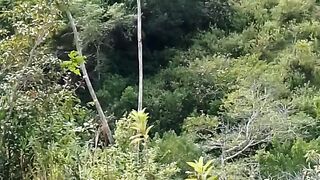 Brasil 7