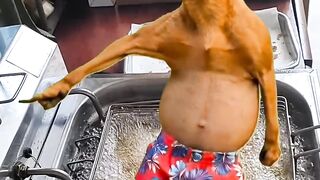 Só pra chatear