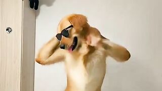 Dançando  kk bora
