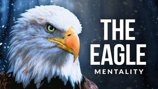Eagle Mindset - The Best Motivational Video - HD