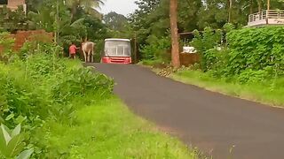 #/kokan Safari 🚍🚍🚍
