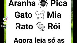 pensa rapido
