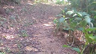 Paraíso 4