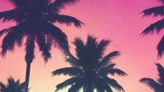 Sunshine Paradise 2 Oficial EDM Music.