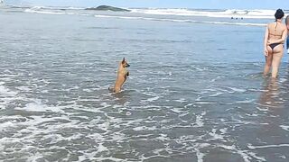 Será que ele gosta de praia?