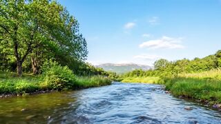 Still Waters 🌊 | Peaceful Relaxing Music for Deep Sleep, Meditation & Stress Relief
