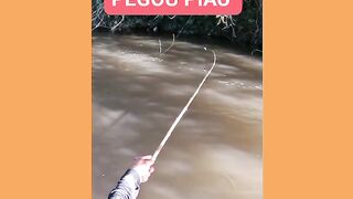PEGOU UM PEIXE PIAU