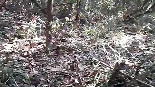NATUREZA 3