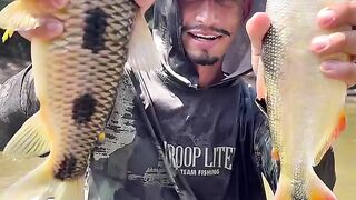 PEGOU PEIXE DIFERENTE