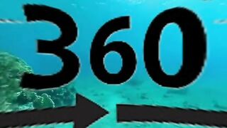 Oceano 360