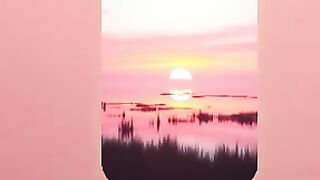 sunset Oficial EDM Music