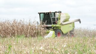 Corn harvester in action 1