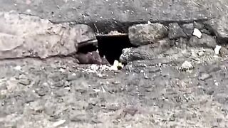 😲😲😲 best video you will see on the internet today