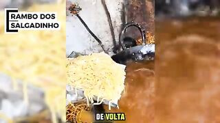 GOROROBA  INDIANA  -  Indian Food Slop  -  인도식 잡탕 5