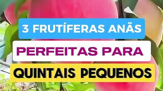 3 Frutíferas anãs perfeitas para pequenos quintais