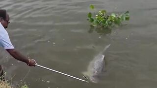 PEIXE MUITO BOM
