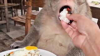 Nyett Foodie