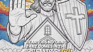 God says: I will cover you with My feathers. You don’t have to fear. 🕊️ #Psalm91 #nightprayer