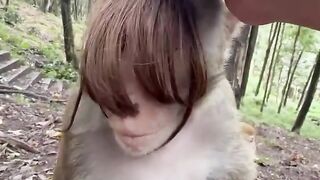Animals are officially tired of us