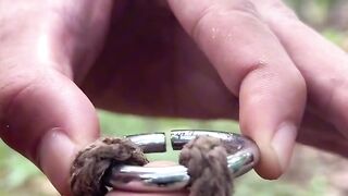 Natan Knot