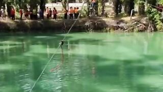 flying fox
