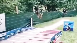amazing momments