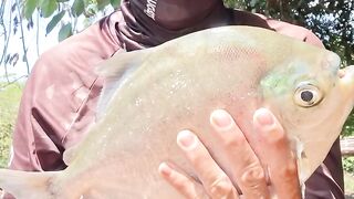 QUE PEIXE É ESSE