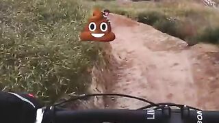 funny momments videos