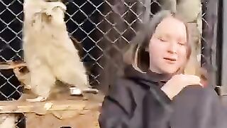 funny momments videos 3