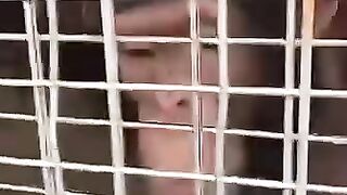 Funny Prank 😂 | Arab Man vs Monkey Funny Video