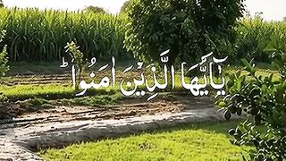 Islamic video 672
