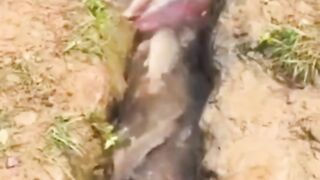 funny momments videos 5