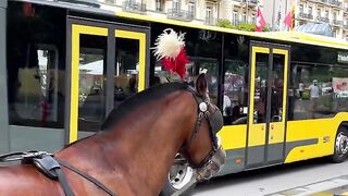 Swiss View