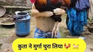 Funny comedy 31