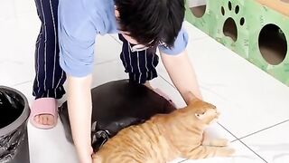 funny momments videos 6