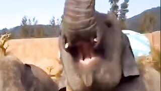funny momments videos 7