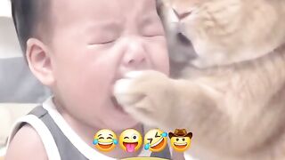 Funny videos