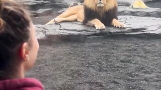 Karma Korner