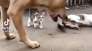 MOTHER IS MOTHER