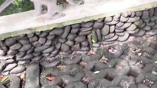 funny momments videos 15