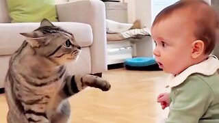 Funny cat and baby 🍼 videos