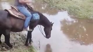funny momments videos 27