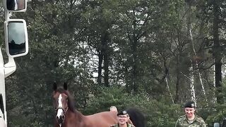 Stichting Militaire Prestatietocht Te Paard - MPT