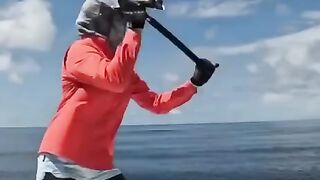 funny momments videos 36