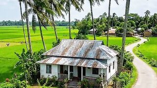 village 8