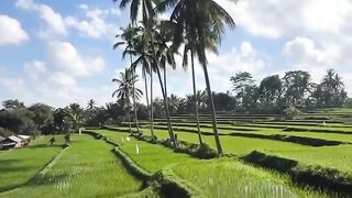 Indonesia Timur - gorontalo