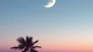Relaxing music for a peaceful sleep 2 💤💤😴😴